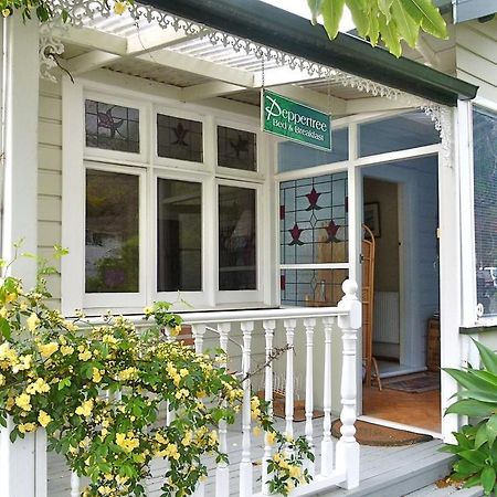 Peppertree Bed&Breakfast Nelson Exterior foto